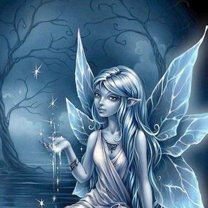 Meet your Posher, Dottie